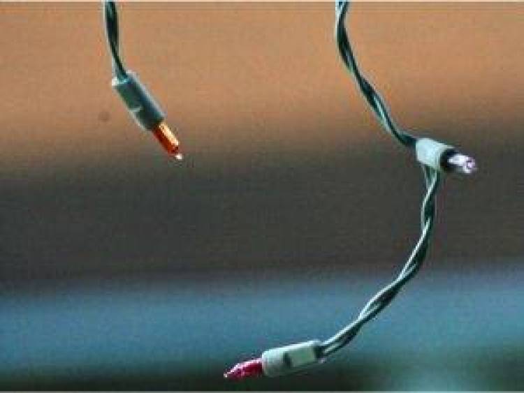 &Eta; &delta;&alpha;&sigma;&kappa;ά&lambda;&alpha; &mu;&epsilon; &tau;&alpha; &kappa;&lambda;&epsilon;&iota;&sigma;&tau;ά &mu;ά&tau;&iota;&alpha;