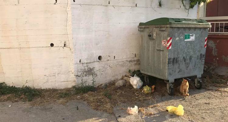 Πρόεδρος Καλλιθέας: «Αυτή η εικόνα δεν μας ταιριάζει – Να είμαστε πιο προσεκτικοί σε θέματα δημόσιας υγείας»