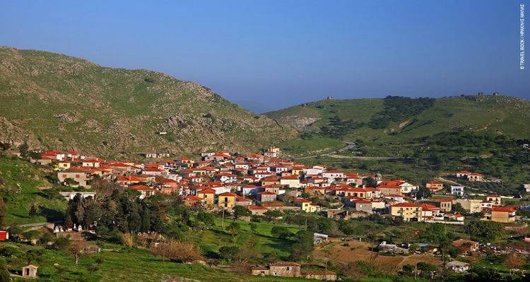 &Delta;&iota;&alpha;&kappa;ό&pi;&tau;&epsilon;&tau;&alpha;&iota; &pi;&rho;&omicron;&sigma;&omega;&rho;&iota;&nu;ά &eta; &kappa;&upsilon;&kappa;&lambda;&omicron;&phi;&omicron;&rho;ί&alpha; &beta;&alpha;&rho;έ&omega;&nu; &omicron;&chi;&eta;&mu;ά&tau;&omega;&nu; &sigma;&tau;&omicron; &Theta;ά&nu;&omicron;&sigmaf;