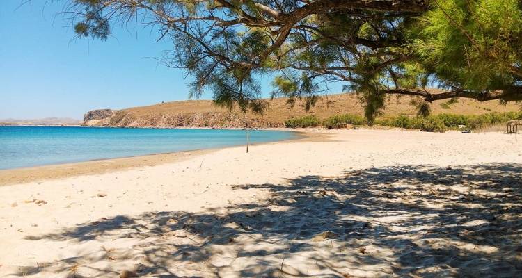 &Lambda;ή&mu;&nu;&omicron;&sigmaf;: 10 &pi;&alpha;&rho;&alpha;&lambda;ί&epsilon;&sigmaf; &gamma;&iota;&alpha; &phi;ί&lambda;&eta;&mu;&alpha; &alpha;&pi;ό &tau;&omicron; in2life