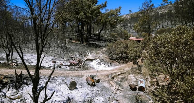 Φωτιές στη Χίο: Εντοπίστηκε εμπρηστής από πρόθεση και κατ&#039; εξακολούθηση | Σχηματίστηκε δικογραφία