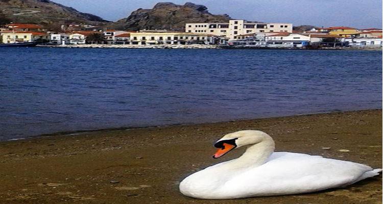 &laquo;&Tau;έ&lambda;&omicron;&sigmaf;&raquo; o &Alpha;&lambda;έ&kappa;&omicron;&sigmaf; &alpha;&pi;ό &tau;&eta;&nu; &pi;&alpha;&rho;&alpha;&lambda;ί&alpha; &tau;&eta;&sigmaf; &Nu;έ&alpha;&sigmaf; &Mu;&alpha;&delta;ύ&tau;&omicron;&upsilon; &sigma;&tau;&eta; &Mu;ύ&rho;&iota;&nu;&alpha;