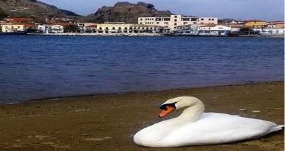 &laquo;&Tau;έ&lambda;&omicron;&sigmaf;&raquo; o &Alpha;&lambda;έ&kappa;&omicron;&sigmaf; &alpha;&pi;ό &tau;&eta;&nu; &pi;&alpha;&rho;&alpha;&lambda;ί&alpha; &tau;&eta;&sigmaf; &Nu;έ&alpha;&sigmaf; &Mu;&alpha;&delta;ύ&tau;&omicron;&upsilon; &sigma;&tau;&eta; &Mu;ύ&rho;&iota;&nu;&alpha;