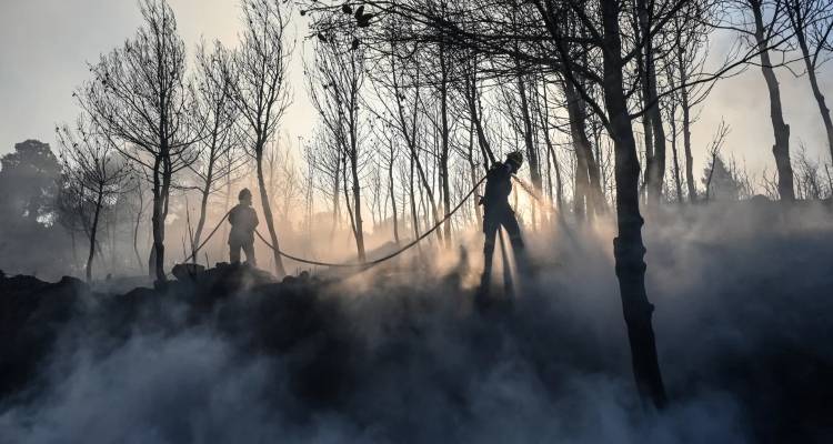 &Chi;&omega;&rho;ί&sigmaf; &epsilon;&nu;&epsilon;&rho;&gamma;ά &mu;έ&tau;&omega;&pi;&alpha; &omicron;&iota; &phi;&omega;&tau;&iota;έ&sigmaf; &sigma;&epsilon; &Sigma;&tau;&alpha;&mu;ά&tau;&alpha;, &Kappa;&epsilon;&rho;&alpha;&tau;έ&alpha;, &Delta;ί&sigma;&tau;&omicron;&mu;&omicron;, &Rho;&iota;&tau;&sigma;ώ&nu;&alpha;, &Zeta;ά&kappa;&upsilon;&nu;&theta;&omicron; -Έ&nu;&alpha;&sigmaf; &nu;&epsilon;&kappa;&rho;ό&sigmaf; &alpha;&pi;ό &alpha;&nu;&alpha;&kappa;&omicron;&pi;ή, &kappa;ά&eta;&kappa;&alpha;&nu; &sigma;&pi;ί&tau;&iota;&alpha;