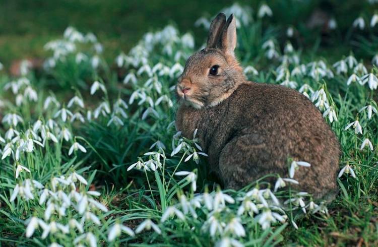 &Omicron;&iota; &theta;έ&sigma;&epsilon;&iota;&sigmaf; &tau;&omicron;&upsilon; &Kappa;&upsilon;&nu;&eta;&gamma;&epsilon;&tau;&iota;&kappa;&omicron;ύ &Sigma;&upsilon;&lambda;&lambda;ό&gamma;&omicron;&upsilon; &Lambda;ή&mu;&nu;&omicron;&upsilon; &gamma;&iota;&alpha; &tau;&alpha; &alpha;&gamma;&rho;&iota;&omicron;&kappa;&omicron;ύ&nu;&epsilon;&lambda;&alpha;