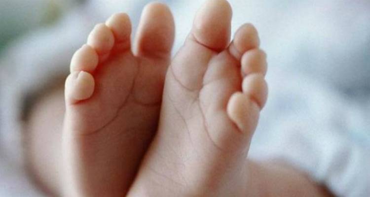 &Mu;&epsilon;&iota;ώ&nu;&omicron;&nu;&tau;&alpha;&iota; &tau;&alpha; &pi;&omicron;&sigma;&omicron;&sigma;&tau;ά &upsilon;&iota;&omicron;&theta;&epsilon;&sigma;ί&alpha;&sigmaf; &pi;&alpha;&iota;&delta;&iota;ώ&nu; &sigma;&tau;&omicron; &Beta;ό&rho;&epsilon;&iota;&omicron; &Alpha;&iota;&gamma;&alpha;ί&omicron;