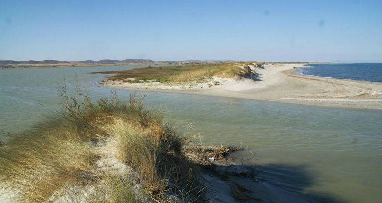 Θέμα στην &quot;Καθημερινή&quot; η κατάσταση στη Αλυκή