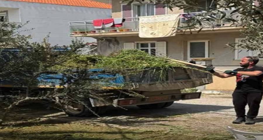&Delta;ή&mu;&omicron;&sigmaf; &Lambda;ή&mu;&nu;&omicron;&upsilon;: &Sigma;&epsilon; &epsilon;&xi;έ&lambda;&iota;&xi;&eta; &epsilon;&rho;&gamma;&alpha;&sigma;ί&epsilon;&sigmaf; &sigma;&upsilon;&nu;&tau;ή&rho;&eta;&sigma;&eta;&sigmaf; &kappa;&alpha;&iota; &epsilon;&upsilon;&pi;&rho;&epsilon;&pi;&iota;&sigma;&mu;&omicron;ύ &sigma;&tau;&eta; &Delta;&eta;&mu;&omicron;&tau;&iota;&kappa;ή &Epsilon;&nu;ό&tau;&eta;&tau;&alpha; &Alpha;&tau;&sigma;&iota;&kappa;ή&sigmaf;