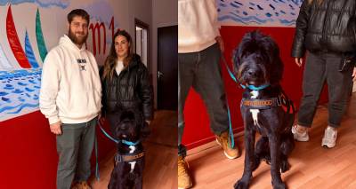 &Omicron; &sigma;&kappa;ύ&lambda;&omicron;&sigmaf; &beta;&omicron;&eta;&theta;ό&sigmaf; &Nu;&tau;ά&zeta; ή&rho;&theta;&epsilon; &sigma;&tau;&omicron;&nu; FM100 &kappa;&alpha;&iota; &gamma;&nu;&omega;&rho;&iota;&sigma;&tau;ή&kappa;&alpha;&mu;&epsilon; | &Alpha;ύ&rho;&iota;&omicron; &theta;&alpha; &pi;&alpha;&rho;&epsilon;&lambda;ά&sigma;&epsilon;&iota; &sigma;&tau;&omicron; &pi;&lambda;&epsilon;&upsilon;&rho;ό &tau;&eta;&sigmaf; &mu;&iota;&kappa;&rho;ή&sigmaf; &Phi;&omega;&tau;&epsilon;&iota;&nu;ή&sigmaf; (video)