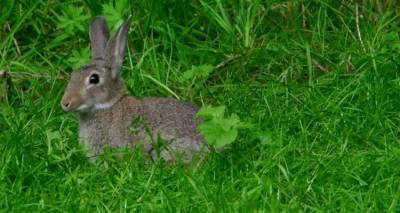 &Xi;&epsilon;&kappa;ί&nu;&eta;&sigma;&alpha;&nu; &sigma;&tau;&eta; &Lambda;ή&mu;&nu;&omicron; &omicron;&iota; &delta;&eta;&lambda;ώ&sigma;&epsilon;&iota;&sigmaf; &gamma;&iota;&alpha; &zeta;&eta;&mu;ί&epsilon;&sigmaf; &alpha;&pi;ό &alpha;&gamma;&rho;&iota;&omicron;&kappa;&omicron;ύ&nu;&epsilon;&lambda;&alpha;