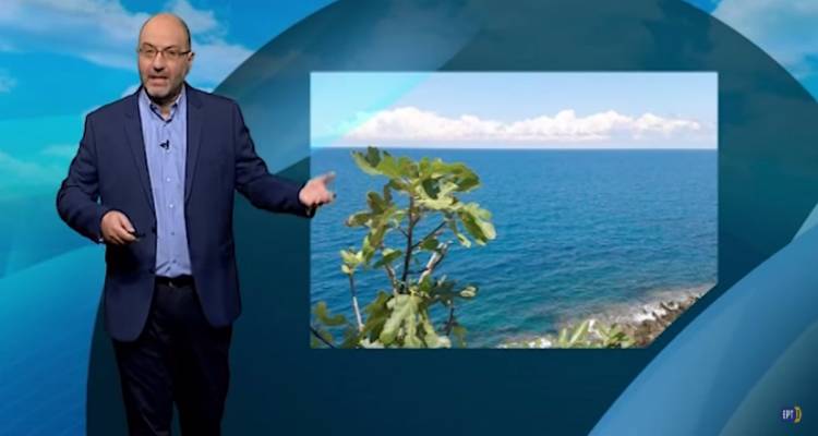 &Eta; &pi;&rho;ό&gamma;&nu;&omega;&sigma;&eta; &tau;&omicron;&upsilon; &kappa;&alpha;&iota;&rho;&omicron;ύ &alpha;&pi;ό &tau;&omicron;&nu; &Sigma;ά&kappa;&eta; &Alpha;&rho;&nu;&alpha;&omicron;ύ&tau;&omicron;&gamma;&lambda;&omicron;&upsilon; (video)