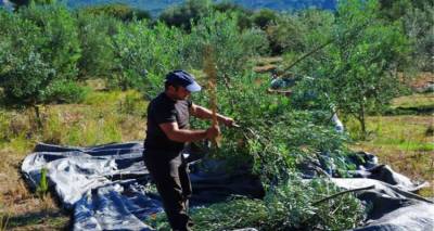 &Nu;έ&omicron; &alpha;ί&tau;&eta;&mu;&alpha; &tau;&eta;&sigmaf; &Pi;&epsilon;&rho;&iota;&phi;έ&rho;&epsilon;&iota;&alpha;&sigmaf; &Beta;&omicron;&rho;&epsilon;ί&omicron;&upsilon; &Alpha;&iota;&gamma;&alpha;ί&omicron;&upsilon; &gamma;&iota;&alpha; &sigma;&tau;ή&rho;&iota;&xi;&eta; &tau;&omega;&nu; &Nu;έ&omega;&nu; &Alpha;&gamma;&rho;&omicron;&tau;ώ&nu; &lambda;ό&gamma;&omega; &epsilon;&kappa;&tau;&epsilon;&tau;&alpha;&mu;έ&nu;&eta;&sigmaf; &alpha;&kappa;&alpha;&rho;&pi;ί&alpha;&sigmaf;