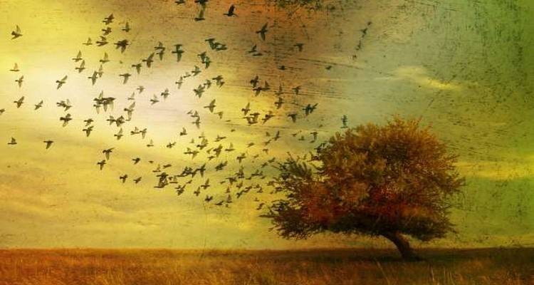 Paulo Coelho: Κλείνοντας κύκλους