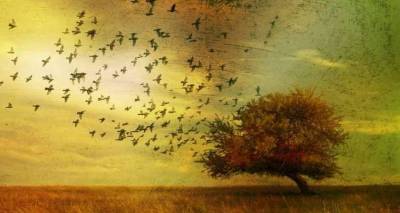 Paulo Coelho: Κλείνοντας κύκλους