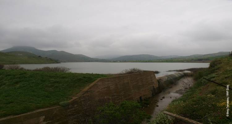 &Alpha;ί&tau;&eta;&mu;&alpha; &alpha;&pi;&omicron;&zeta;&eta;&mu;ί&omega;&sigma;&eta;&sigmaf; &gamma;&iota;&alpha; &tau;&omicron;&upsilon;&sigmaf; &epsilon;&lambda;&alpha;&iota;&omicron;&pi;&alpha;&rho;&alpha;&gamma;&omega;&gamma;&omicron;ύ&sigmaf; | &Sigma;&tau;&omicron; &pi;&rho;&omicron;&sigma;&kappa;ή&nu;&iota;&omicron; &tau;&alpha; &epsilon;&gamma;&gamma;&epsilon;&iota;&omicron;&beta;&epsilon;&lambda;&tau;&iota;&omega;&tau;&iota;&kappa;ά έ&rho;&gamma;&alpha; &sigma;&epsilon; &Lambda;ή&mu;&nu;&omicron; &kappa;&alpha;&iota; Ά&gamma;&iota;&omicron; &Epsilon;&upsilon;&sigma;&tau;&rho;ά&tau;&iota;&omicron;