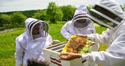 &Nu;έ&epsilon;&sigmaf; &upsilon;&pi;&omicron;&chi;&rho;&epsilon;ώ&sigma;&epsilon;&iota;&sigmaf; &gamma;&iota;&alpha; &tau;&omicron;&upsilon;&sigmaf; &mu;&epsilon;&lambda;&iota;&sigma;&sigma;&omicron;&kappa;ό&mu;&omicron;&upsilon;&sigmaf; | &Upsilon;&pi;&omicron;&chi;&rho;&epsilon;&omega;&tau;&iota;&kappa;ή &delta;ή&lambda;&omega;&sigma;&eta; &pi;&alpha;&rho;&alpha;&gamma;&omega;&gamma;ή&sigmaf; &kappa;&alpha;&iota; &epsilon;&mu;&pi;&omicron;&rho;ί&alpha;&sigmaf; &mu;&epsilon;&lambda;&iota;&omicron;ύ &sigma;&tau;&omicron; &Epsilon;&theta;&nu;&iota;&kappa;ό &Eta;&lambda;&epsilon;&kappa;&tau;&rho;&omicron;&nu;&iota;&kappa;ό &Mu;&epsilon;&lambda;&iota;&sigma;&sigma;&omicron;&kappa;&omicron;&mu;&iota;&kappa;ό &Mu;&eta;&tau;&rho;ώ&omicron;