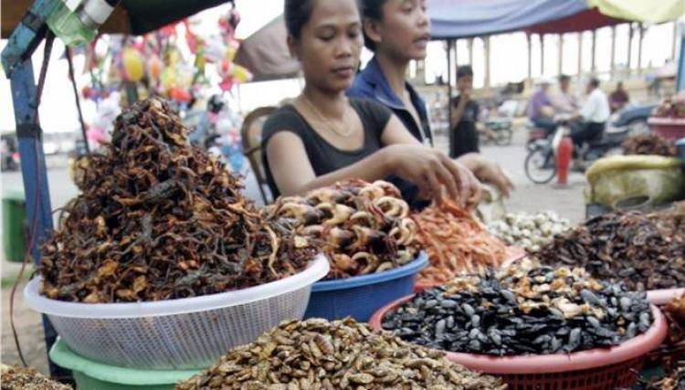 ΟΗΕ: «Φάτε... έντομα για να λύσουμε το πρόβλημα του υποσιτισμού»