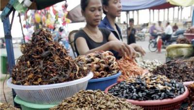 ΟΗΕ: «Φάτε... έντομα για να λύσουμε το πρόβλημα του υποσιτισμού»