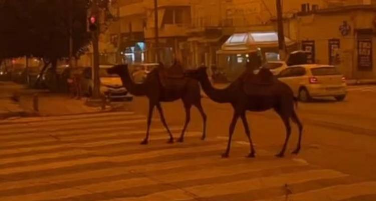 &Gamma;&lambda;έ&nu;&tau;&iota; &sigma;&tau;&omicron; TikTok &mu;&epsilon; &tau;&eta;&nu; &alpha;&phi;&rho;&iota;&kappa;&alpha;&nu;&iota;&kappa;ή &sigma;&kappa;ό&nu;&eta;: &Omicron; &pi;&lambda;&alpha;&nu;ή&tau;&eta;&sigmaf; Ά&rho;&eta;&sigmaf;, &omicron;&iota; &kappa;&alpha;&mu;ή&lambda;&epsilon;&sigmaf; &pi;&omicron;&upsilon; &beta;ό&lambda;&tau;&alpha;&rho;&alpha;&nu; &sigma;&tau;&omicron; &Eta;&rho;ά&kappa;&lambda;&epsilon;&iota;&omicron; &kappa;&alpha;&iota; &tau;&omicron;... red flag