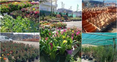 &Eta; Ά&nu;&omicron;&iota;&xi;&eta; έ&chi;&epsilon;&iota; &delta;&iota;&epsilon;ύ&theta;&upsilon;&nu;&sigma;&eta;: &Phi;&upsilon;&tau;ώ&rho;&iota;&alpha; &Kappa;&alpha;&lambda;&lambda;&iota;&gamma;&epsilon;&rho;ή! Ό,&tau;&iota; &alpha;&nu;&theta;ί&zeta;&epsilon;&iota;, &xi;&epsilon;&kappa;&iota;&nu;ά &alpha;&pi;ό &epsilon;&delta;ώ!