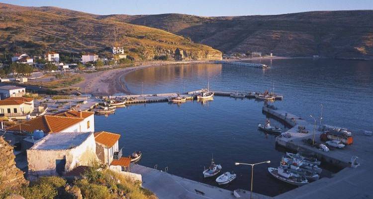 &Epsilon;&kappa;&lambda;&omicron;&gamma;έ&sigmaf; 2023: &Tau;&alpha; &tau;&epsilon;&lambda;&iota;&kappa;ά &alpha;&pi;&omicron;&tau;&epsilon;&lambda;έ&sigma;&mu;&alpha;&tau;&alpha; &sigma;&tau;&omicron;&nu; Ά&gamma;&iota;&omicron; &Epsilon;&upsilon;&sigma;&tau;&rho;ά&tau;&iota;&omicron;