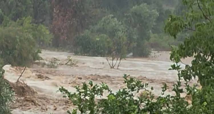 &laquo;&Pi;&rho;&omega;&tau;&omicron;&phi;&alpha;&nu;έ&sigmaf; &phi;&alpha;&iota;&nu;ό&mu;&epsilon;&nu;&omicron;&raquo;: &Zeta;&eta;&mu;&iota;έ&sigmaf; &sigma;&epsilon; &sigma;&pi;ί&tau;&iota;&alpha; &sigma;&tau;&eta; &Mu;ά&nu;&eta; &alpha;&pi;ό &tau;&iota;&sigmaf; &kappa;&alpha;&tau;&alpha;&rho;&rho;&alpha;&kappa;&tau;ώ&delta;&epsilon;&iota;&sigmaf; &beta;&rho;&omicron;&chi;έ&sigmaf; | &Pi;&alpha;&rho;&alpha;&sigma;ύ&rho;&theta;&eta;&kappa;&alpha;&nu; &alpha;&upsilon;&tau;&omicron;&kappa;ί&nu;&eta;&tau;&alpha;, &kappa;&alpha;&tau;&alpha;&sigma;&tau;&rho;&omicron;&phi;έ&sigmaf; &sigma;&tau;&omicron; &omicron;&delta;&iota;&kappa;ό &delta;ί&kappa;&tau;&upsilon;&omicron;