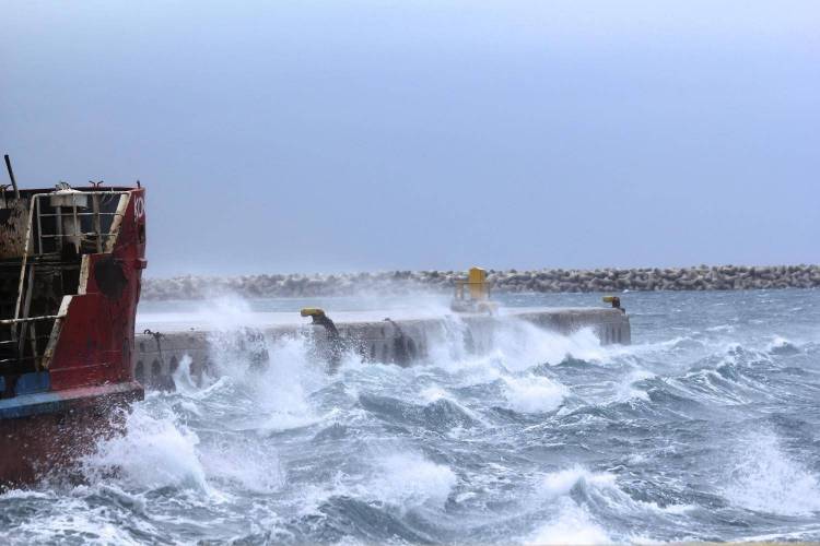 &Eta; Lifo &mu;&alpha;&theta;&alpha;ί&nu;&epsilon;&iota; &alpha;&pi;ό &kappa;&omicron;&nu;&tau;ά &pi;&omega;&sigmaf; &phi;&tau;&iota;ά&chi;&nu;&epsilon;&tau;&alpha;&iota; &tau;&omicron; &pi;&epsilon;&rho;ί&phi;&eta;&mu;&omicron; &Lambda;&eta;&mu;&nu;&iota;ό &tau;&upsilon;&rho;ί &laquo;&kappa;&alpha;&lambda;&alpha;&theta;ά&kappa;&iota; &raquo;