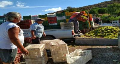 &Tau;&alpha; &pi;&rho;ώ&tau;&alpha; &sigma;&tau;&alpha;&phi;ύ&lambda;&iota;&alpha; έ&phi;&tau;&alpha;&sigma;&alpha;&nu; &sigma;&tau;&eta;&nu; Έ&nu;&omega;&sigma;&eta;