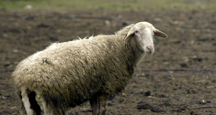 &Kappa;&Kappa;&Epsilon; &Lambda;ή&mu;&nu;&omicron;&upsilon;: &laquo;&Kappa;&upsilon;&beta;έ&rho;&nu;&eta;&sigma;&eta;, &Pi;&epsilon;&rho;&iota;&phi;έ&rho;&epsilon;&iota;&alpha;, &Delta;ή&mu;&omicron;&sigmaf;, &nu;&alpha; &alpha;&nu;&tau;&iota;&mu;&epsilon;&tau;&omega;&pi;ί&sigma;&omicron;&upsilon;&nu; ά&mu;&epsilon;&sigma;&alpha; &tau;&omicron; &pi;&rho;ό&beta;&lambda;&eta;&mu;&alpha; &sigma;ύ&mu;&phi;&omega;&nu;&alpha; &kappa;&alpha;&iota; &mu;&epsilon; &tau;&alpha; &alpha;&iota;&tau;ή&mu;&alpha;&tau;&alpha; &tau;&omega;&nu; &kappa;&tau;&eta;&nu;&omicron;&tau;&rho;ό&phi;&omega;&nu;&raquo;