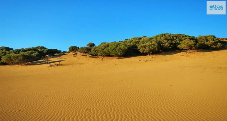 Κι όμως υπάρχει έρημος στην Ελλάδα | Η «Σαχάρα» της Λήμνου (photos + video)