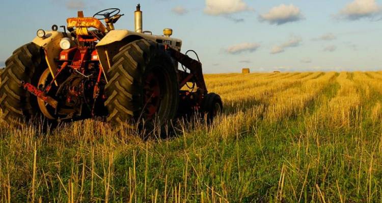 &Epsilon;&Lambda;&Gamma;&Alpha;: &Kappa;&rho;&alpha;&tau;&iota;&kappa;έ&sigmaf; &epsilon;&nu;&iota;&sigma;&chi;ύ&sigma;&epsilon;&iota;&sigmaf; &sigma;&tau;&omicron;&upsilon;&sigmaf; &pi;&alpha;&rho;&alpha;&gamma;&omega;&gamma;&omicron;ύ&sigmaf; &tau;&eta;&sigmaf; &Lambda;ή&mu;&nu;&omicron;&upsilon;