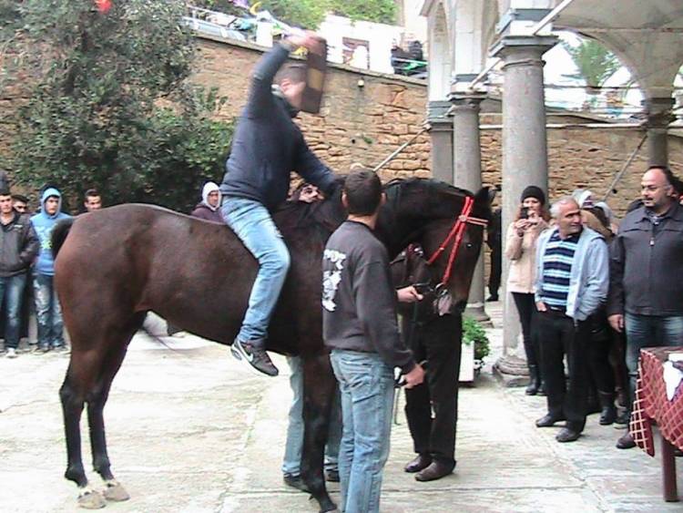 &laquo;Έ&tau;&rho;&epsilon;&xi;&alpha;&nu;&raquo; &pi;&rho;&omicron;&sigmaf; &tau;&iota;&mu;ή&nu; &tau;&omicron;&upsilon; &Pi;&omicron;&lambda;&iota;&omicron;ύ&chi;&omicron;&upsilon; &Alpha;&gamma;ί&omicron;&upsilon; &Delta;&eta;&mu;&eta;&tau;&rho;ί&omicron;&upsilon;