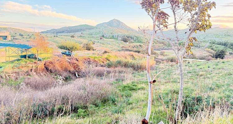&Delta;ή&mu;&omicron;&sigmaf; &Lambda;ή&mu;&nu;&omicron;&upsilon; &kappa;&alpha;&lambda;&epsilon;ί &Pi;&epsilon;&rho;&iota;&phi;έ&rho;&epsilon;&iota;&alpha; &Beta;. &Alpha;&iota;&gamma;&alpha;ί&omicron;&upsilon;: &laquo;&Kappa;&alpha;&theta;&alpha;&rho;ί&sigma;&tau;&epsilon; ά&mu;&epsilon;&sigma;&alpha; &tau;&alpha; &rho;έ&mu;&alpha;&tau;&alpha;&raquo; | &Kappa;ί&nu;&delta;&upsilon;&nu;&omicron;&sigmaf; &nu;έ&omega;&nu; &pi;&lambda;&eta;&mu;&mu;&upsilon;&rho;&iota;&kappa;ώ&nu; &phi;&alpha;&iota;&nu;&omicron;&mu;έ&nu;&omega;&nu;