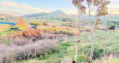 &Delta;ή&mu;&omicron;&sigmaf; &Lambda;ή&mu;&nu;&omicron;&upsilon; &kappa;&alpha;&lambda;&epsilon;ί &Pi;&epsilon;&rho;&iota;&phi;έ&rho;&epsilon;&iota;&alpha; &Beta;. &Alpha;&iota;&gamma;&alpha;ί&omicron;&upsilon;: &laquo;&Kappa;&alpha;&theta;&alpha;&rho;ί&sigma;&tau;&epsilon; ά&mu;&epsilon;&sigma;&alpha; &tau;&alpha; &rho;έ&mu;&alpha;&tau;&alpha;&raquo; | &Kappa;ί&nu;&delta;&upsilon;&nu;&omicron;&sigmaf; &nu;έ&omega;&nu; &pi;&lambda;&eta;&mu;&mu;&upsilon;&rho;&iota;&kappa;ώ&nu; &phi;&alpha;&iota;&nu;&omicron;&mu;έ&nu;&omega;&nu;