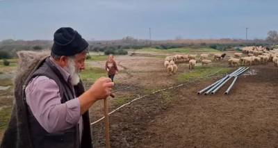 &Epsilon;&xi;&iota;&tau;ή&rho;&iota;&omicron; &pi;ή&rho;&epsilon; &omicron; &kappa;&tau;&eta;&nu;&omicron;&tau;&rho;ό&phi;&omicron;&sigmaf; &pi;&omicron;&upsilon; &alpha;&pi;&omicron;&chi;&alpha;&iota;&rho;έ&tau;&eta;&sigma;&epsilon; &tau;&alpha; &zeta;ώ&alpha; &tau;&omicron;&upsilon; &epsilon;&xi;&alpha;&iota;&tau;ί&alpha;&sigmaf; &tau;&eta;&sigmaf; &epsilon;&upsilon;&lambda;&omicron;&gamma;&iota;ά&sigmaf; | &Pi;έ&rho;&alpha;&sigma;&epsilon; &epsilon;&gamma;&kappa;&epsilon;&phi;&alpha;&lambda;&iota;&kappa;ό