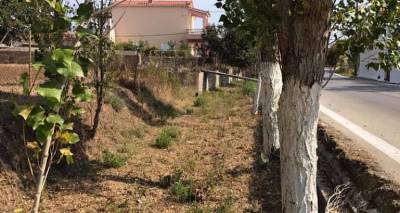 &Beta;&omicron;&lambda;έ&sigmaf; &kappa;&alpha;&tau;ά &Pi;&epsilon;&rho;&iota;&phi;έ&rho;&epsilon;&iota;&alpha;&sigmaf; &kappa;&alpha;&iota; &Epsilon;&pi;&alpha;&rho;&chi;&epsilon;ί&omicron;&upsilon; &alpha;&pi;ό &tau;&eta;&nu; &kappa;&omicron;&iota;&nu;ό&tau;&eta;&tau;&alpha; &Kappa;&alpha;&lambda;&lambda;&iota;&theta;έ&alpha;&sigmaf; &gamma;&iota;&alpha; &tau;&omicron;&nu; &kappa;&alpha;&theta;&alpha;&rho;&iota;&sigma;&mu;ό &rho;&epsilon;&mu;ά&tau;&omega;&nu;.