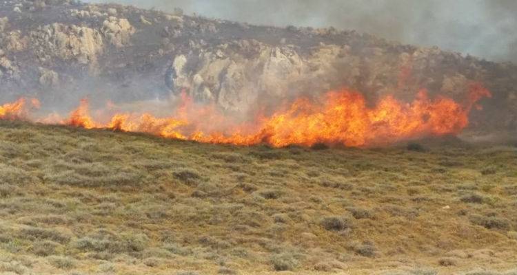 &Xi;&epsilon;&kappa;ί&nu;&eta;&sigma;&epsilon; &eta; &kappa;&alpha;&tau;&alpha;&gamma;&rho;&alpha;&phi;ή &tau;&omega;&nu; &zeta;&eta;&mu;&iota;ώ&nu; &alpha;&pi;ό &tau;&eta;&nu; &mu;&epsilon;&gamma;ά&lambda;&eta; &pi;&upsilon;&rho;&kappa;&alpha;&gamma;&iota;ά &sigma;&tau;&eta; &Lambda;ή&mu;&nu;&omicron;