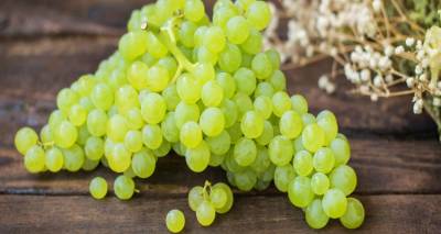 &Epsilon;&Lambda;&Gamma;&Alpha;: &Pi;&rho;&omicron;&theta;&epsilon;&sigma;&mu;ί&alpha; &gamma;&iota;&alpha; &tau;&omicron;&upsilon;&sigmaf; &beta;&iota;&omicron;&kappa;&alpha;&lambda;&lambda;&iota;&epsilon;&rho;&gamma;&eta;&tau;έ&sigmaf; &alpha;&mu;&pi;έ&lambda;&omicron;&upsilon; &tau;&eta;&sigmaf; &Lambda;ή&mu;&nu;&omicron;&upsilon; | &Tau;&iota; &pi;&rho;έ&pi;&epsilon;&iota; &nu;&alpha; &kappa;ά&nu;&omicron;&upsilon;&nu; &gamma;&iota;&alpha; &tau;&iota;&sigmaf; &alpha;&pi;&omicron;&zeta;&eta;&mu;&iota;ώ&sigma;&epsilon;&iota;&sigmaf;