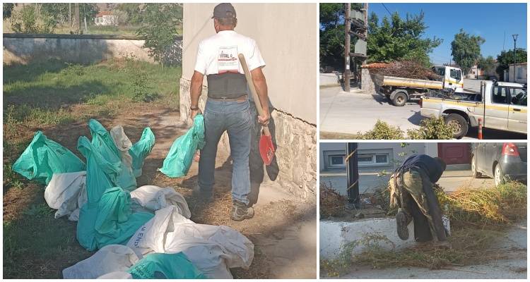 &Epsilon;&upsilon;&chi;&alpha;&rho;&iota;&sigma;&tau;ή&rho;&iota;&omicron; &tau;&eta;&sigmaf; &Pi;&rho;&omicron;έ&delta;&rho;&omicron;&upsilon; &Tau;&sigma;&iota;&mu;&alpha;&nu;&delta;&rho;ί&omega;&nu; &pi;&rho;&omicron;&sigmaf; &tau;&eta;&nu; &Upsilon;&pi;&eta;&rho;&epsilon;&sigma;ί&alpha; &Kappa;&alpha;&theta;&alpha;&rho;&iota;ό&tau;&eta;&tau;&alpha;&sigmaf; &tau;&omicron;&upsilon; &Delta;ή&mu;&omicron;&upsilon; &Lambda;ή&mu;&nu;&omicron;&upsilon;