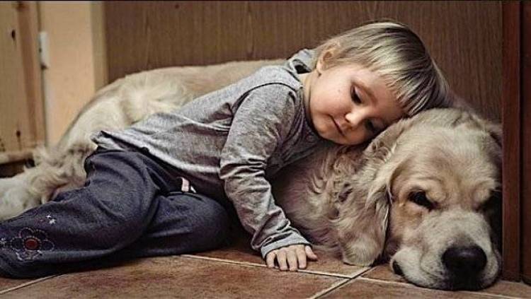 &Tau;&omicron; &Phi;&iota;&lambda;&omicron;&zeta;&omega;&iota;&kappa;ό &Sigma;&omega;&mu;&alpha;&tau;&epsilon;ί&omicron; &Lambda;ή&mu;&nu;&omicron;&upsilon; &pi;ά&epsilon;&iota; &sigma;&chi;&omicron;&lambda;&epsilon;ί&omicron; | &Epsilon;&nu;&eta;&mu;έ&rho;&omega;&sigma;&eta; &epsilon;&upsilon;&alpha;&iota;&sigma;&theta;&eta;&tau;&omicron;&pi;&omicron;ί&eta;&sigma;&eta;&sigmaf; &sigma;&epsilon; &pi;&alpha;&iota;&delta;&iota;ά &tau;&omicron;&upsilon; &nu;&eta;&sigma;&iota;&omicron;ύ