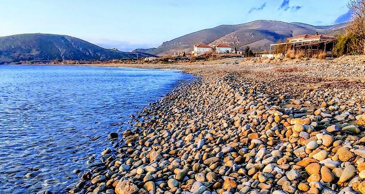 &Phi;&omega;&tau;ό: &Beta;&iota;&kappa;&tau;ώ&rho;&iota;&alpha; &Epsilon;&pi;&iota;&tau;&rho;&omicron;&pi;ά&kappa;&eta;