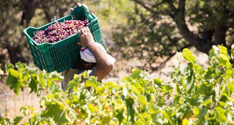 &Xi;&epsilon;&kappa;&iota;&nu;ά &omicron; &tau;&rho;&upsilon;&gamma;&eta;&tau;ό&sigmaf; &sigma;&tau;&eta; &Lambda;ή&mu;&nu;&omicron; | &Tau;&omicron; &alpha;&nu;&alpha;&lambda;&upsilon;&tau;&iota;&kappa;ό &pi;&rho;ό&gamma;&rho;&alpha;&mu;&mu;&alpha; &tau;&eta;&sigmaf; &laquo;Έ&nu;&omega;&sigma;&eta;&sigmaf;&raquo;