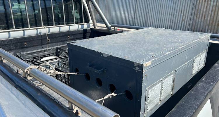 &Lambda;ή&mu;&nu;&omicron;&sigmaf;: &Kappa;&alpha;&tau;&alpha;&gamma;&gamma;&epsilon;&lambda;ί&alpha; &gamma;&iota;&alpha; &kappa;&alpha;&kappa;&omicron;&pi;&omicron;ί&eta;&sigma;&eta; &sigma;&kappa;ύ&lambda;&omicron;&upsilon; | &Pi;&alpha;&rho;έ&mu;&epsilon;&iota;&nu;&epsilon; &epsilon;&pi;ί ώ&rho;&alpha; &kappa;ά&tau;&omega; &alpha;&pi;ό &tau;&omicron;&nu; ή&lambda;&iota;&omicron; &kappa;&lambda;&epsilon;&iota;&sigma;&mu;έ&nu;&omicron; &sigma;&epsilon; &mu;&epsilon;&tau;&alpha;&lambda;&lambda;&iota;&kappa;ό &kappa;&omicron;&upsilon;&tau;ί!