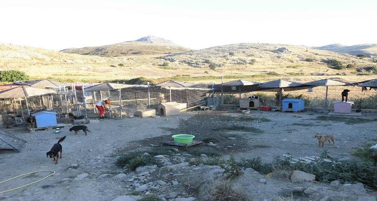 &Phi;&iota;&lambda;&omicron;&zeta;&omega;&iota;&kappa;ό &Sigma;&omega;&mu;&alpha;&tau;&epsilon;ί&omicron; &Lambda;ή&mu;&nu;&omicron;&upsilon;: &laquo;&Omicron; &Delta;ή&mu;&omicron;&sigmaf; &nu;&alpha; &kappa;&lambda;&epsilon;ί&sigma;&epsilon;&iota; &tau;&omicron; &kappa;&upsilon;&nu;&omicron;&kappa;&omicron;&mu;&epsilon;ί&omicron; &kappa;&alpha;&iota; &nu;&alpha; &mu;&eta;&nu; &delta;&eta;&mu;&iota;&omicron;&upsilon;&rho;&gamma;ή&sigma;&epsilon;&iota; &nu;έ&omicron;&raquo;