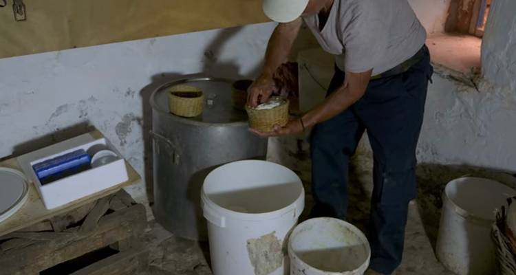 &Eta; &tau;&upsilon;&rho;&omicron;&kappa;ό&mu;&eta;&sigma;&eta; &sigma;&tau;&eta; &mu;ά&nu;&tau;&rho;&alpha; &tau;&eta;&sigmaf; &Lambda;ή&mu;&nu;&omicron;&upsilon; &epsilon;ί&nu;&alpha;&iota; &tau;έ&chi;&nu;&eta; &kappa;&alpha;&iota; &mu;&upsilon;&sigma;&tau;&alpha;&gamma;&omega;&gamma;ί&alpha; (video)