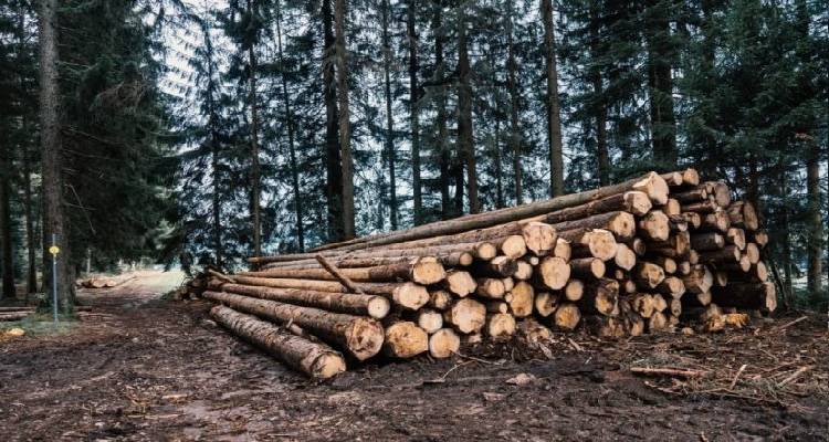 &Upsilon;&Pi;&Epsilon;&Nu;: &Delta;&omega;&rho;&epsilon;ά&nu; &kappa;&alpha;&upsilon;&sigma;ό&xi;&upsilon;&lambda;&alpha; &sigma;&tau;&omicron;&upsilon;&sigmaf; &kappa;&alpha;&tau;&omicron;ί&kappa;&omicron;&upsilon;&sigmaf; &omicron;&rho;&epsilon;&iota;&nu;ώ&nu; &pi;&epsilon;&rho;&iota;&omicron;&chi;ώ&nu;