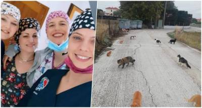 120 &alpha;&delta;έ&sigma;&pi;&omicron;&tau;&epsilon;&sigmaf; &gamma;ά&tau;&epsilon;&sigmaf; &sigma;&tau;&epsilon;&iota;&rho;ώ&theta;&eta;&kappa;&alpha;&nu; &sigma;&tau;&eta; &Lambda;ή&mu;&nu;&omicron;