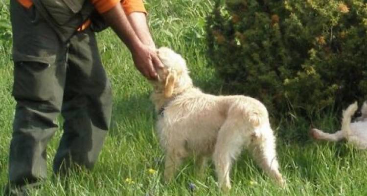 &Alpha;&pi;ό &tau;&iota;&sigmaf; 21 &Iota;&alpha;&nu;&omicron;&upsilon;&alpha;&rho;ί&omicron;&upsilon; &sigma;&epsilon; &epsilon;&phi;&alpha;&rho;&mu;&omicron;&gamma;ή! &Sigma;&tau;&epsilon;ί&rho;&omega;&sigma;&eta; ή &alpha;&pi;&omicron;&sigma;&tau;&omicron;&lambda;ή DNA &alpha;&lambda;&lambda;&iota;ώ&sigmaf;&hellip; 1.000 &epsilon;&upsilon;&rho;ώ &pi;&rho;ό&sigma;&tau;&iota;&mu;&omicron; &gamma;&iota;&alpha; &tau;&alpha; &kappa;&alpha;&tau;&omicron;&iota;&kappa;ί&delta;&iota;&alpha;!