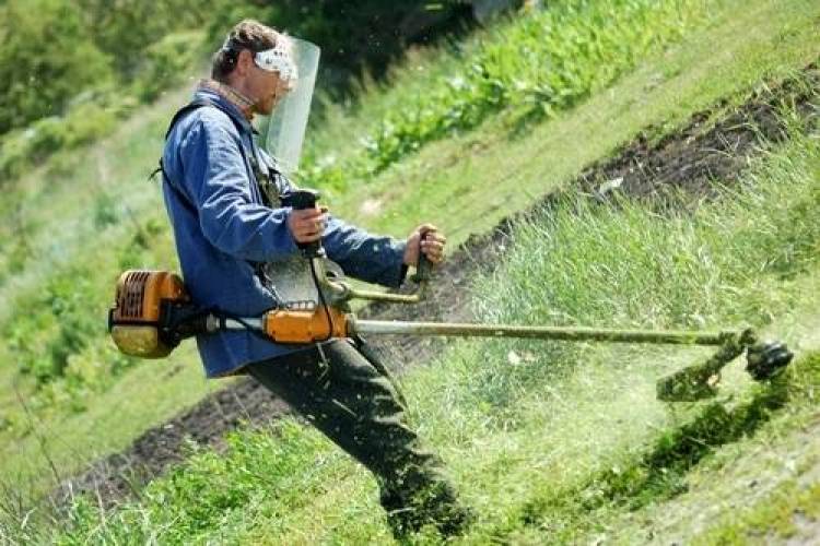 Ξεκίνησε η αποψίλωση στο Επαρχιακό Οδικό Δίκτυο