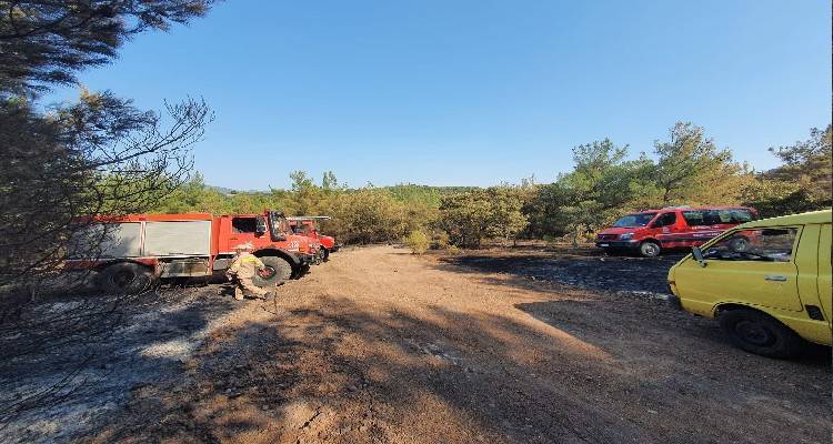 &Sigma;&epsilon; ύ&phi;&epsilon;&sigma;&eta; &eta; &phi;&omega;&tau;&iota;ά (ώ&rho;&alpha; 9.30 &tau;&omicron; &pi;&rho;&omega;ί) &sigma;&tau;&omicron; &mu;έ&tau;&omega;&pi;&omicron; &pi;ά&nu;&omega; &alpha;&pi;ό &tau;&eta; &Beta;&rho;ί&sigma;&alpha;